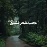 دانلود آهنگ عشق خدایی (عجب شعر قشنگی واسه چشمات سرودم) “ریمیکس هوش مصنوعی” از معین